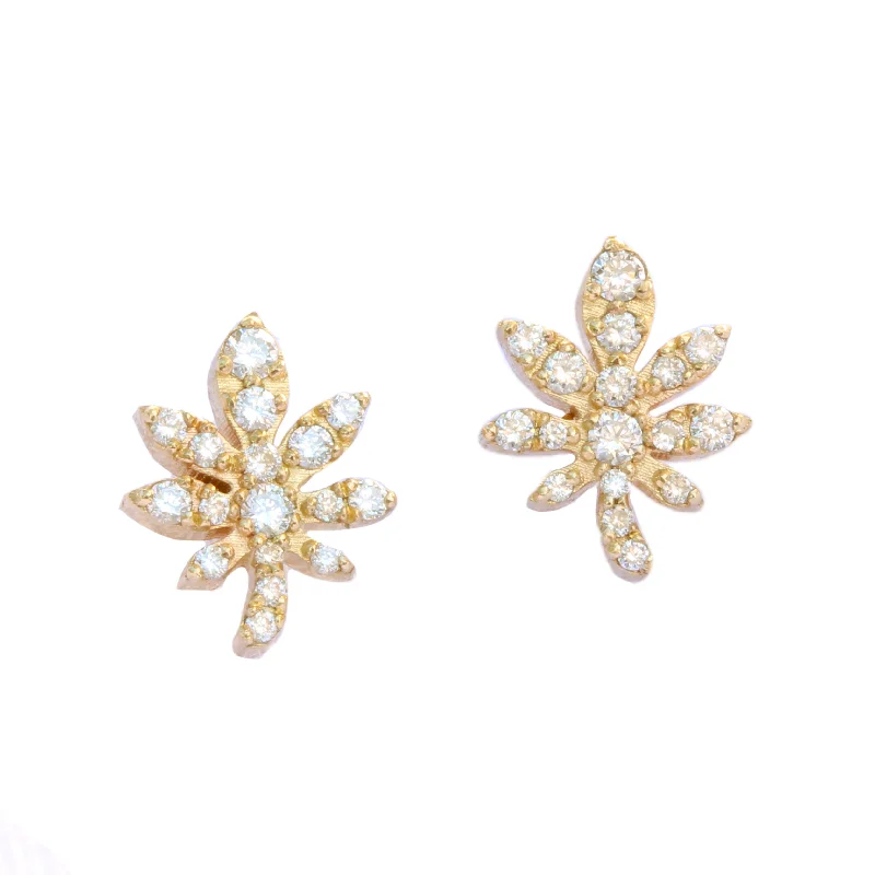 Stud Earrings for Wellness Routine -Magic Leaf, Gold & Diamonds Stud Earrings.