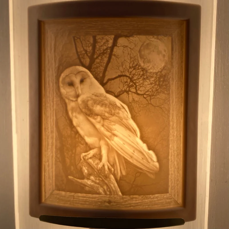 Personalized necklaces and pendants with name engravings for a custom touch-Owl Porcelain Night Light